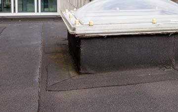 disadvantages of Treleddyd Fawr flat roofs