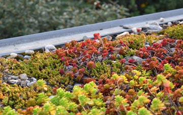 the cost of Treleddyd Fawr green roof installation