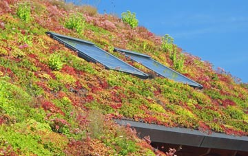 Treleddyd Fawr living roof systems