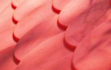 Treleddyd Fawr plastic roof costs