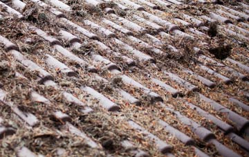 Treleddyd Fawr roof cleaning companies