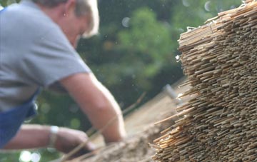 professional Treleddyd Fawr thatchers