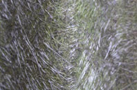 Treleddyd Fawr fibreglass roof work